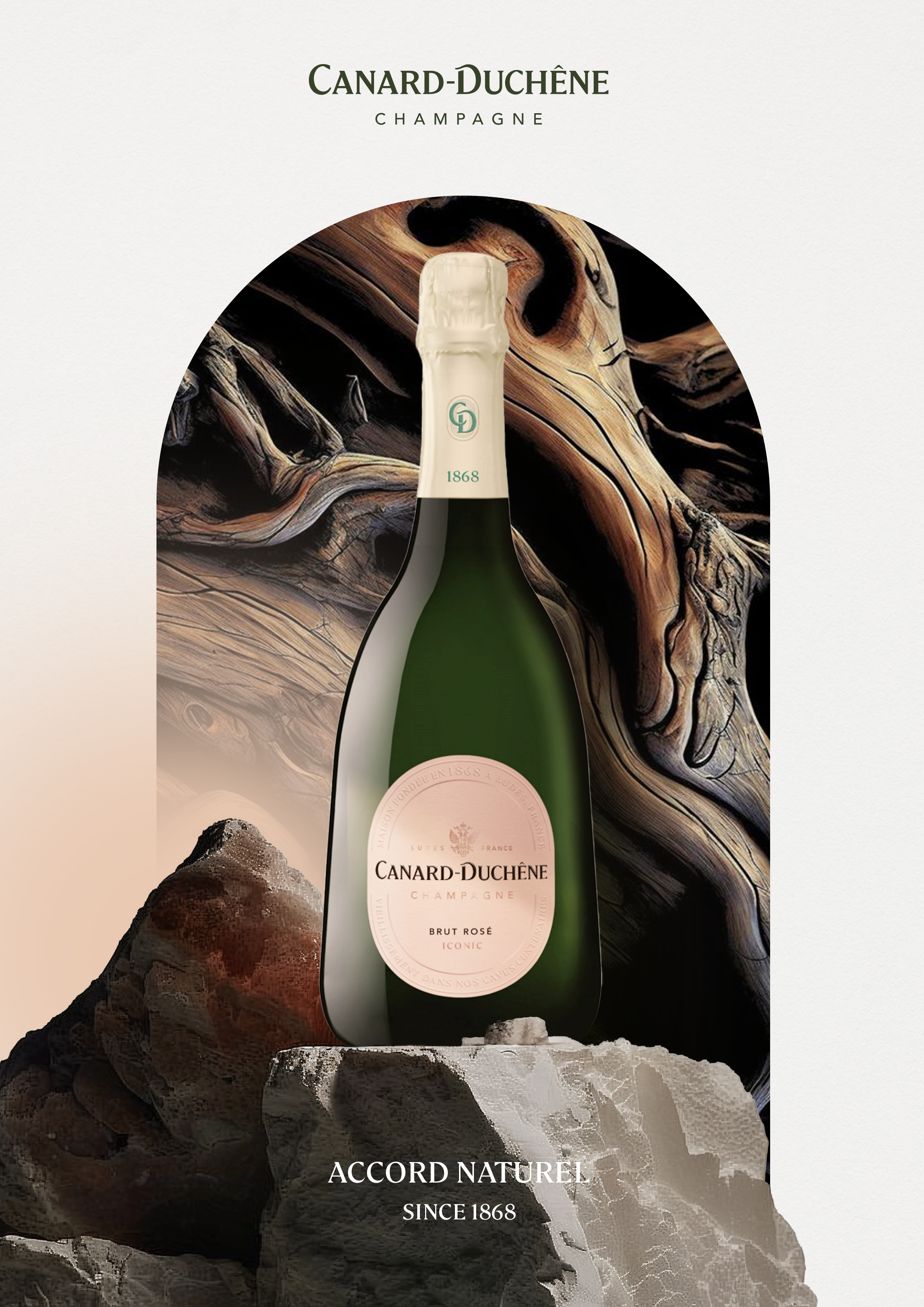 CD — KeyvisualBrutRoses-Op2