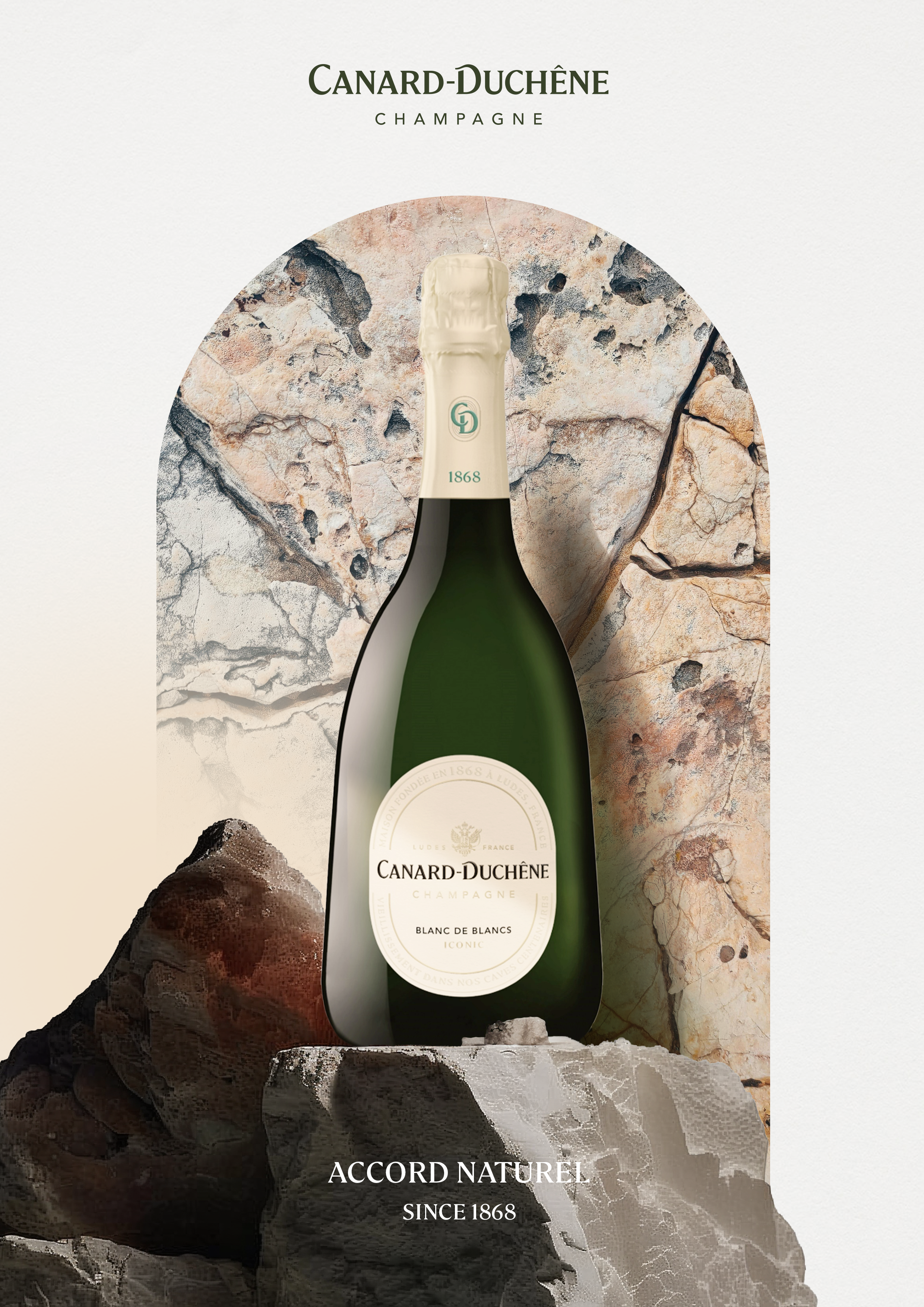 CD — KeyvisualBrutRoses-Op3