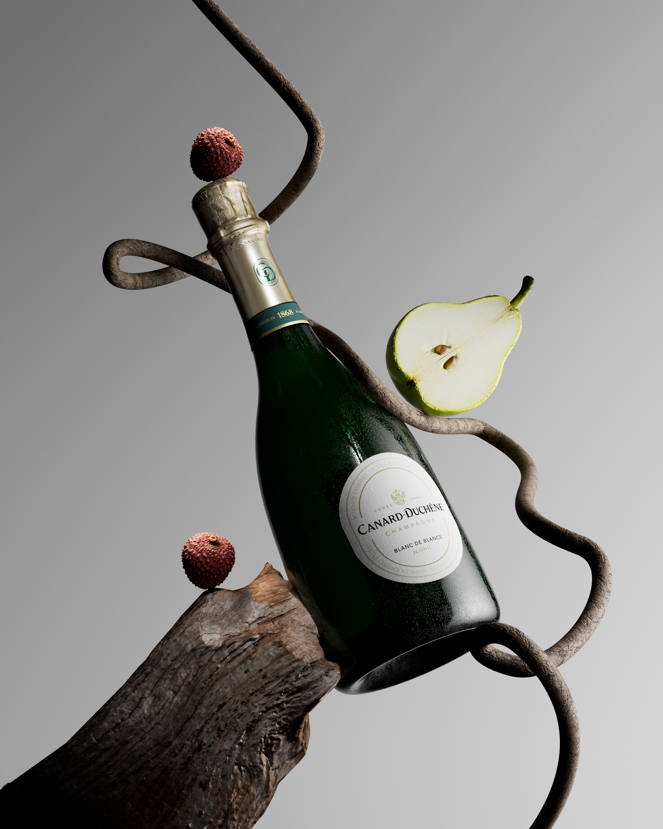 CD_Proactif_Blanc_de_Blanc_vue1_2