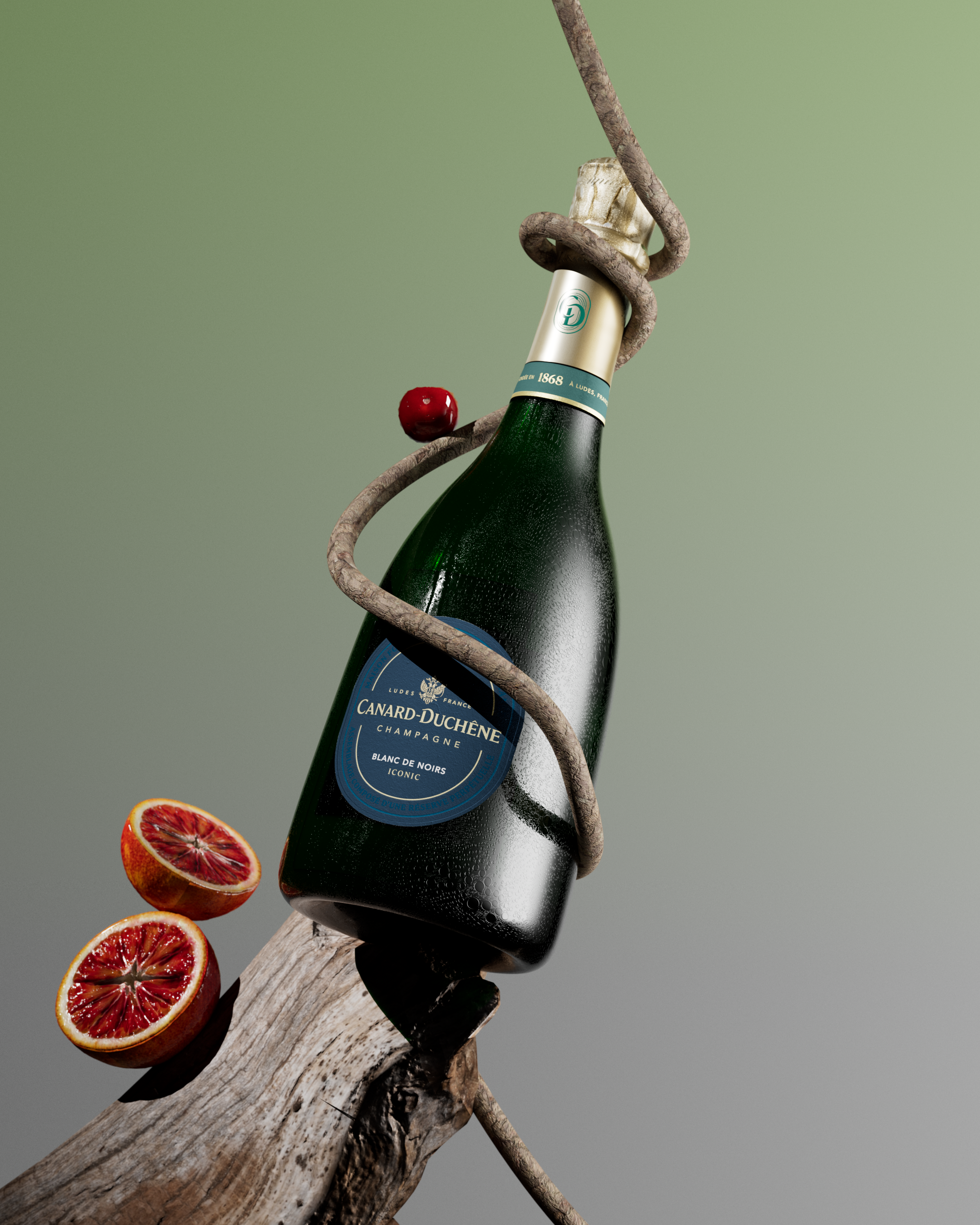 CD_Proactif_Blanc_de_noir0048